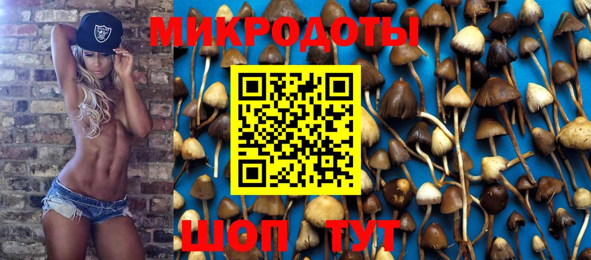 Ярцево  Галлюциногенные грибы ЛСД  Вход с VPN 